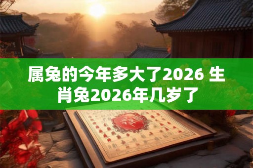 属兔的今年多大了2026 生肖兔2026年几岁了