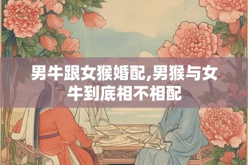 男牛跟女猴婚配,男猴与女牛到底相不相配