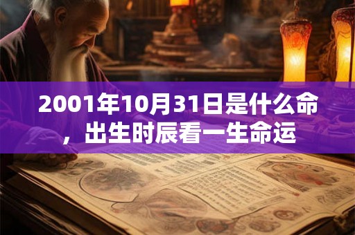 2001年10月31日是什么命,出生时辰看一生命运 2001年10月31日是什么命,出生时辰看一生命运