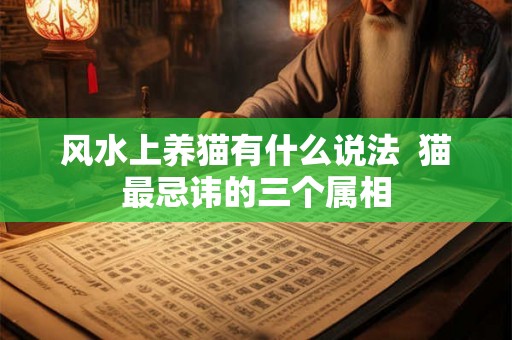 风水上养猫有什么说法  猫最忌讳的三个属相