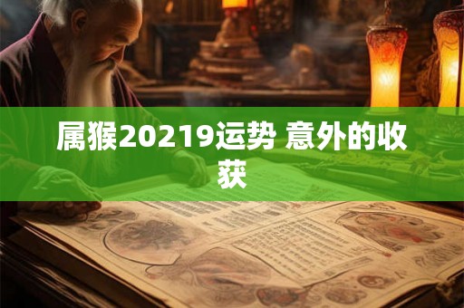 属猴20219运势 意外的收获