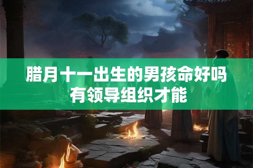 腊月十一出生的男孩命好吗 有领导组织才能
