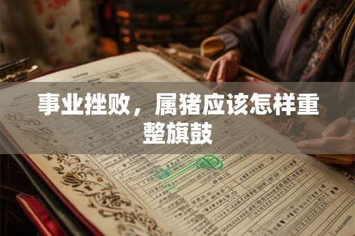 事业挫败，属猪应该怎样重整旗鼓