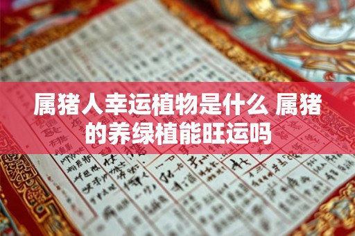 属猪人幸运植物是什么 属猪的养绿植能旺运吗