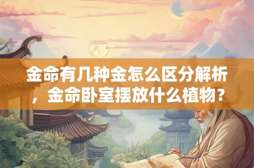 金命有几种金怎么区分解析，金命卧室摆放什么植物？