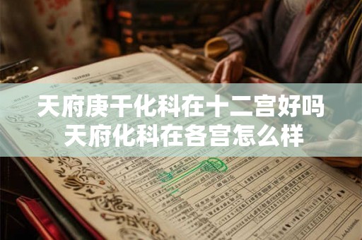 天府庚干化科在十二宫好吗 天府化科在各宫怎么样