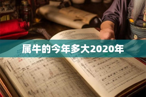 属牛的今年多大2020年