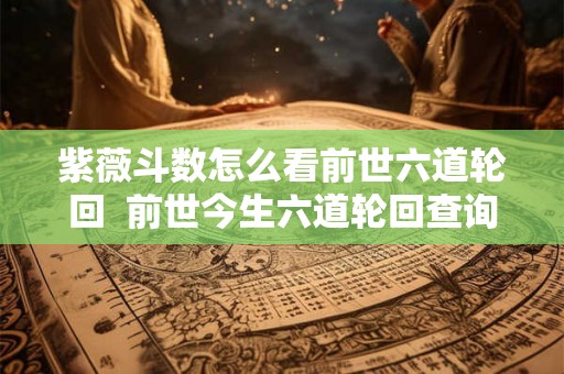 紫薇斗数怎么看前世六道轮回  前世今生六道轮回查询