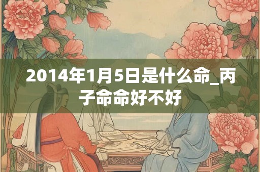 2014年1月5日是什么命_丙子命命好不好 2014年1月5日是什么命_丙子命命好不好
