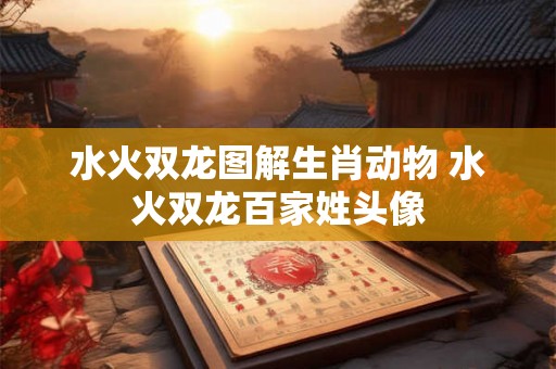 水火双龙图解生肖动物 水火双龙百家姓头像