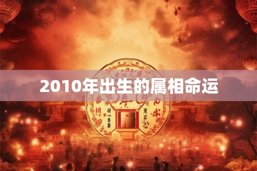 2010年出生的属相命运
