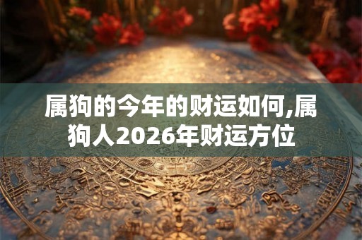 属狗的今年的财运如何,属狗人2026年财运方位