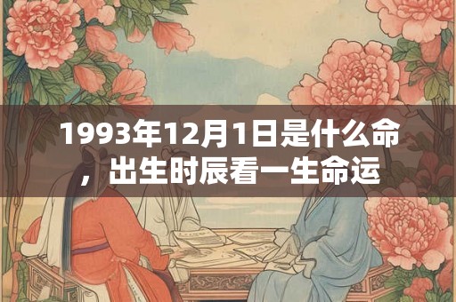 1993年12月1日是什么命,出生时辰看一生命运 1993年12月1日是什么命,出生时辰看一生命运