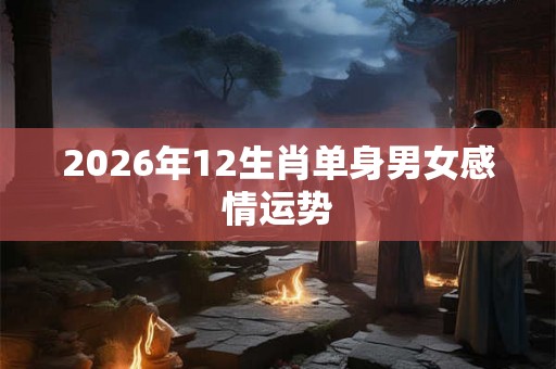 2026年12生肖单身男女感情运势