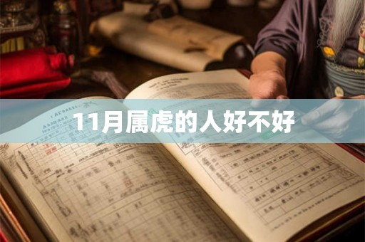 11月属虎的人好不好