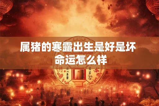 属猪的寒露出生是好是坏 命运怎么样 属猪的寒露出生是好是坏 命运怎么样