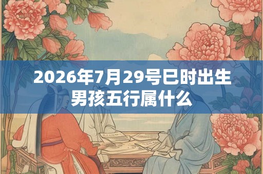 2026年7月29号巳时出生男孩五行属什么