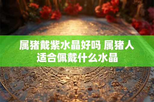 属猪戴紫水晶好吗 属猪人适合佩戴什么水晶