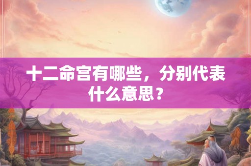 十二命宫有哪些，分别代表什么意思？