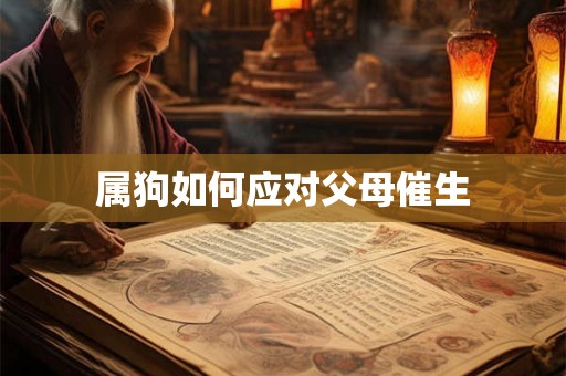 属狗如何应对父母催生