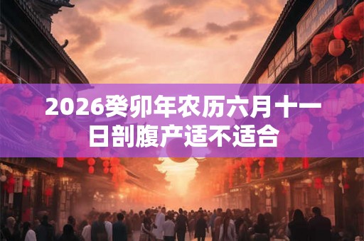 2026癸卯年农历六月十一日剖腹产适不适合