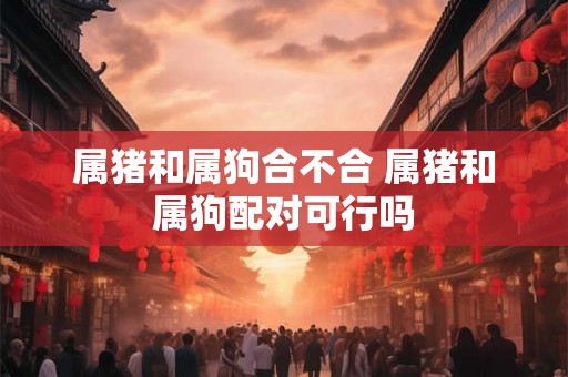 属猪和属狗合不合 属猪和属狗配对可行吗 属猪和属狗合不合 属猪和属狗配对可行吗