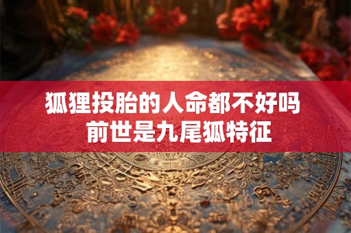狐狸投胎的人命都不好吗  前世是九尾狐特征