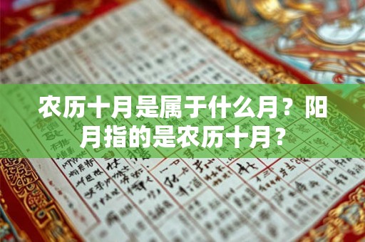 农历十月是属于什么月?阳月指的是农历十月? 农历十月是属于什么月?阳月指的是农历十月?
