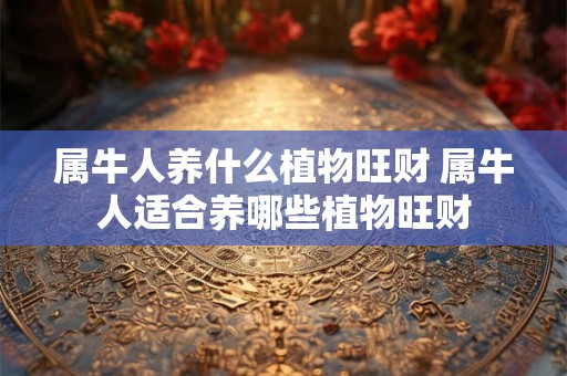 属牛人养什么植物旺财 属牛人适合养哪些植物旺财