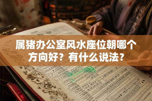 属猪办公室风水座位朝哪个方向好？有什么说法？