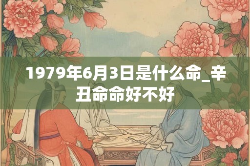 1979年6月3日是什么命_辛丑命命好不好