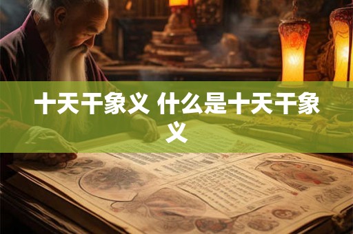 十天干象义 什么是十天干象义