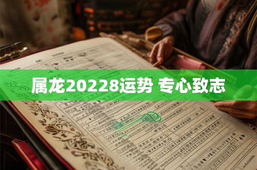 属龙20228运势 专心致志