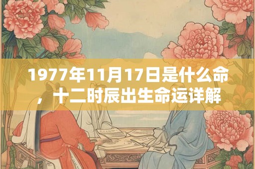 1977年11月17日是什么命，十二时辰出生命运详解
