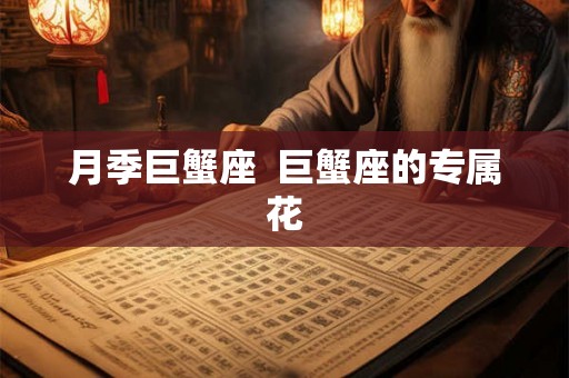 月季巨蟹座  巨蟹座的专属花
