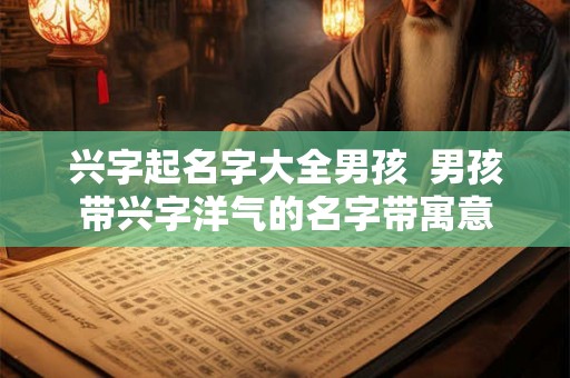 兴字起名字大全男孩  男孩带兴字洋气的名字带寓意