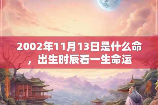 2002年11月13日是什么命，出生时辰看一生命运