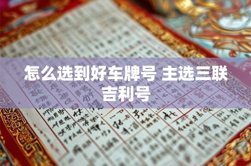 怎么选到好车牌号 主选三联吉利号