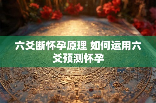 六爻断怀孕原理 如何运用六爻预测怀孕
