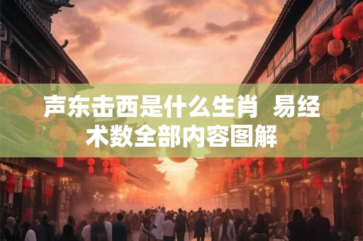 声东击西是什么生肖  易经术数全部内容图解