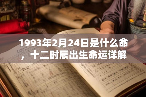 1993年2月24日是什么命,十二时辰出生命运详解 1993年2月24日是什么命,十二时辰出生命运详解