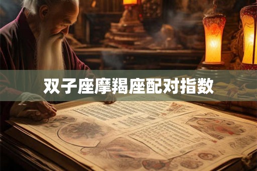 双子座摩羯座配对指数 双子座摩羯座配对指数