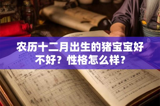 农历十二月出生的猪宝宝好不好？性格怎么样？