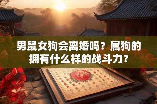 男鼠女狗会离婚吗？属狗的拥有什么样的战斗力？