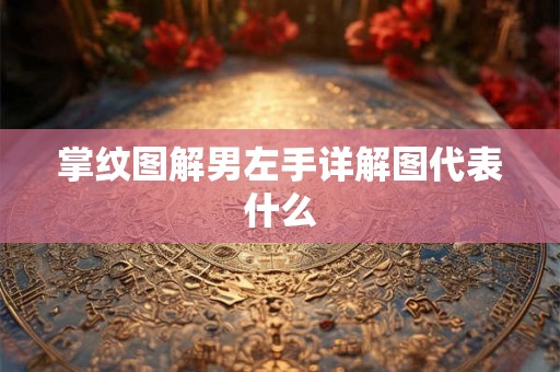 掌纹图解男左手详解图代表什么