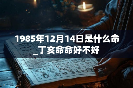 1985年12月14日是什么命_丁亥命命好不好