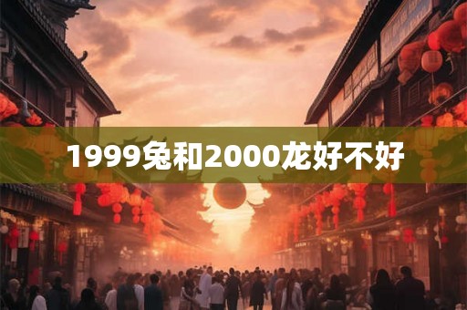 1999兔和2000龙好不好