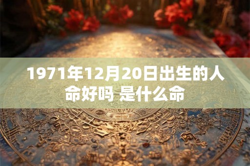 1971年12月20日出生的人命好吗 是什么命