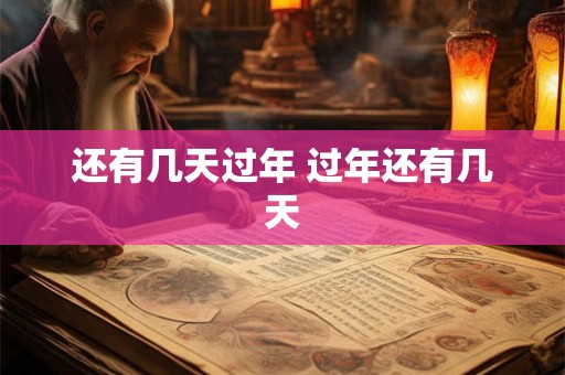 还有几天过年 过年还有几天