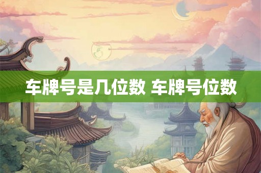 车牌号是几位数 车牌号位数